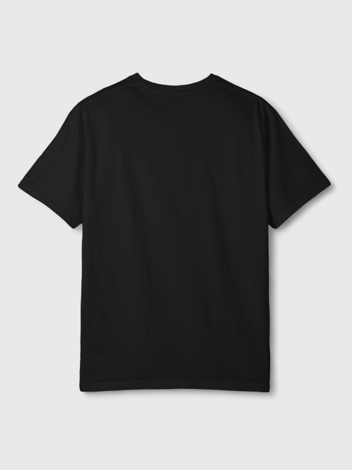 We Win Today Unisex Garment-Dyed T-shirt